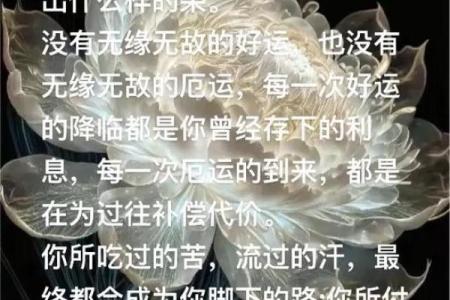 揭开命毒之谜：算命与命运的深层思考