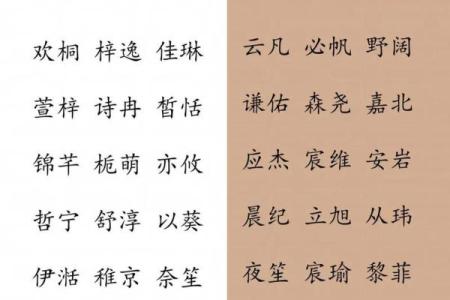 命名的重要性：如何为新生儿选择一个好名字