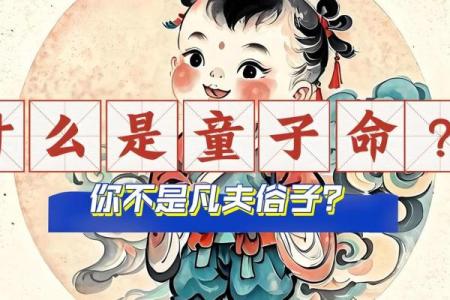 命运的轮回：属虎的10月初六之命格解析与人生启示