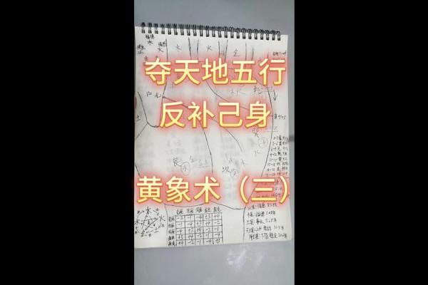 深入探讨五行命格:如何通过五行平衡提升生活质量 深入探讨五行命格:如何通过五行平衡提升生活质量