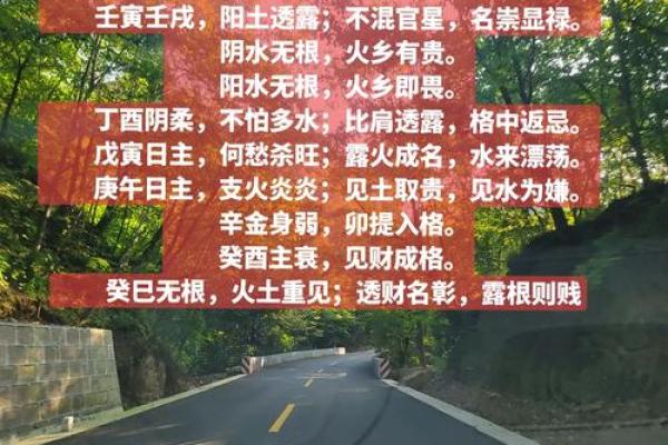 木命人与五行命理的最佳搭配:相合之道与人生启示 木命人与五行命理的最佳搭配:相合之道与人生启示