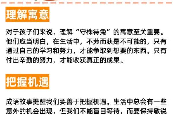 命运与忧虑：如何从成语中理解生活的智慧