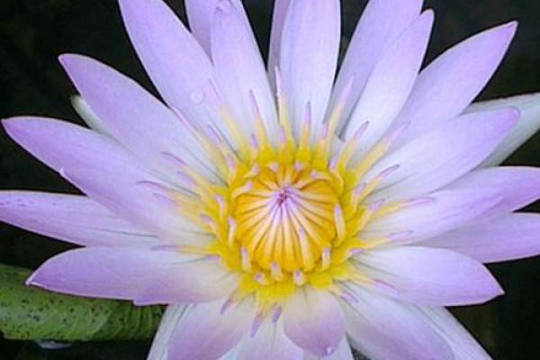 深入了解阳历9月23日出生者的命理特征与人生轨迹 深入了解阳历9月23日出生者的命理特征与人生轨迹