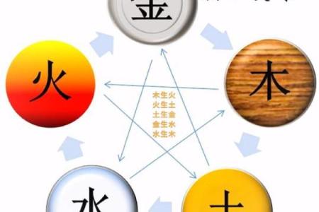 木命人与五行命理的最佳搭配：相合之道与人生启示