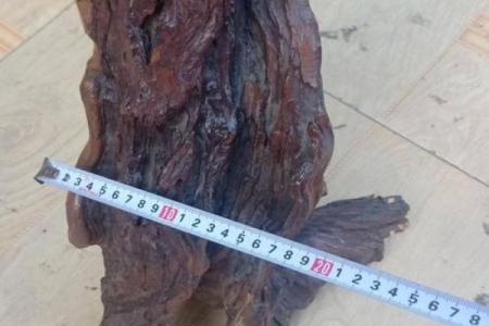 石榴木命喜水：生活中的风水智慧与实用选择