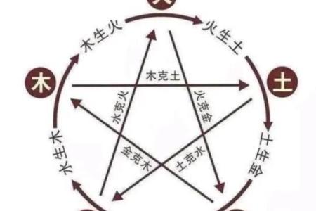 女金男木命夫妻的理想宅院选择：和谐居住的理想之地