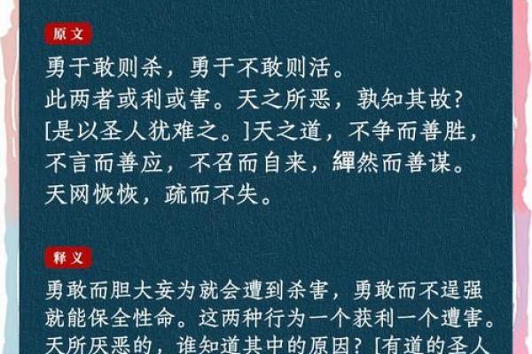 命者之心：探寻命运与智慧的奥秘