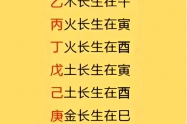 壬水见丁火：命格的深度解析与人生启示