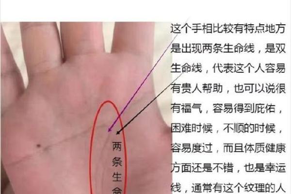 揭示命运的奥秘:生命线在手相学中的深刻意义 揭示命运的奥秘:生命线在手相学中的深刻意义