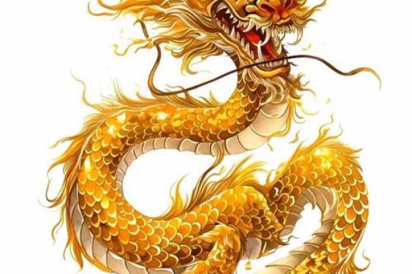 1964年出生的龙：命运与性格的奇妙结合