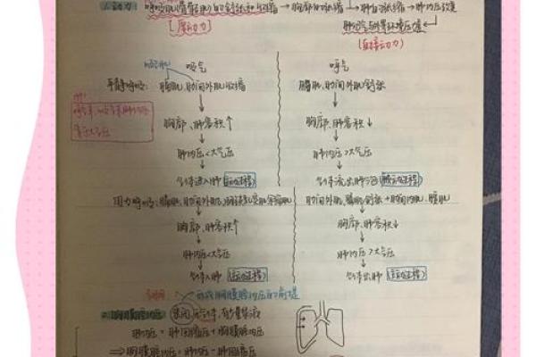 人体的第一生命线：探索呼吸的重要性与奥秘