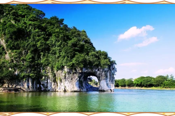 年柱桑松木命：探寻内心与自然的和谐之道