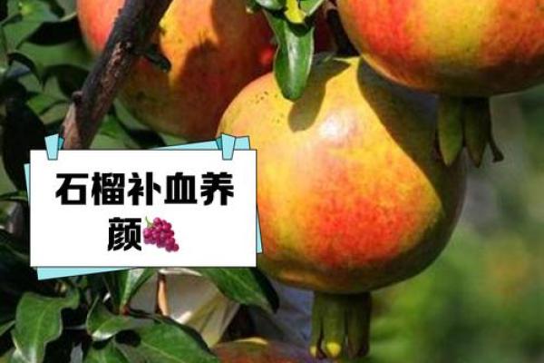 石榴木命女性的性格特点与喜好分析 石榴木命女性的性格特点与喜好分析