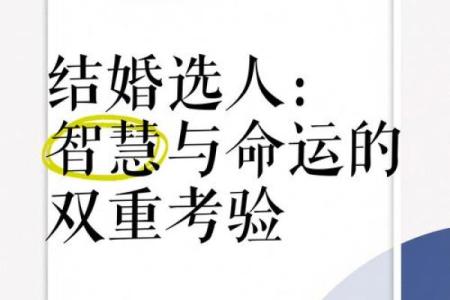 命者之心：探寻命运与智慧的奥秘