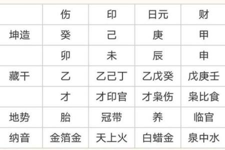 命局无财无官，如何分析自身运势与发展方向？