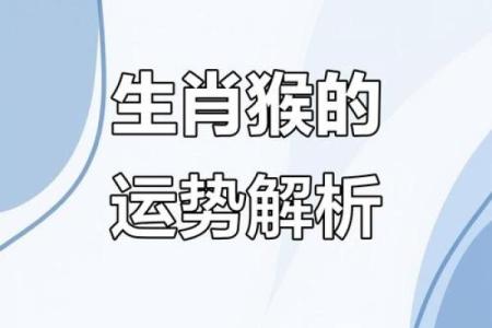 属猴人的29岁往后命运解析：智慧与机遇并存的精彩人生