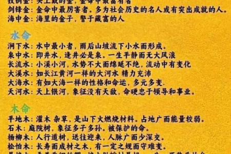 木命与相生八字：哪些命理搭配更有助于事业发展？