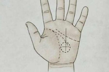 揭示命运的奥秘：生命线在手相学中的深刻意义