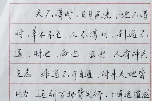 食也命也运也:揭示生命中不可或缺的三大元素 食也命也运也:揭示生命中不可或缺的三大元素