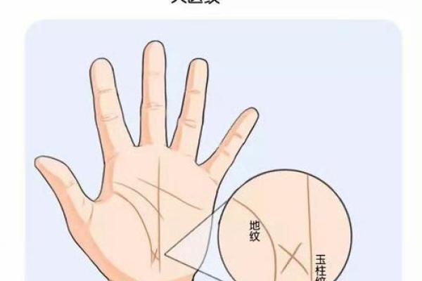 男人手上没斗，运势解析与人生启示