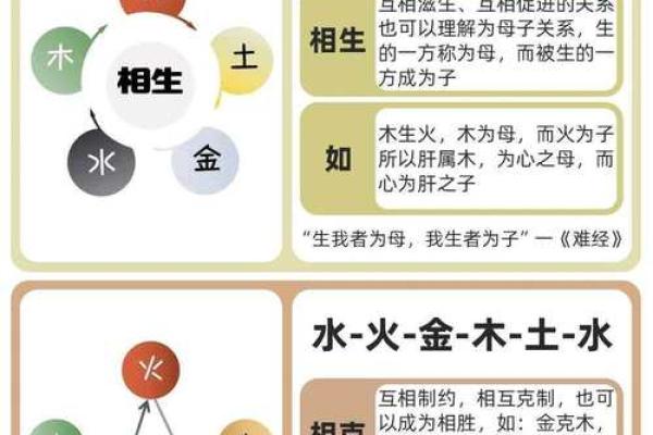 桑柘木命的命理解析：如何调和五行缺失的能量与生活智慧