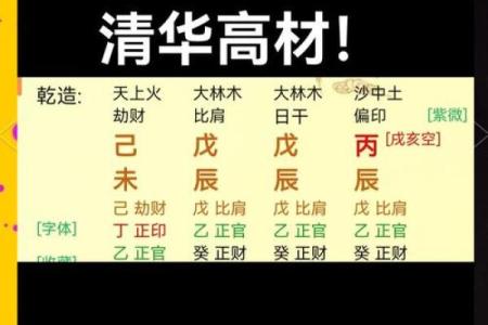 揭秘：什么木命是最好的命运，揭开命理的神秘面纱