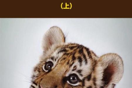 属虎之人：命里贵人指引你走向辉煌人生