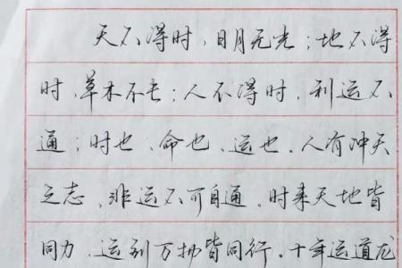 食也命也运也：揭示生命中不可或缺的三大元素