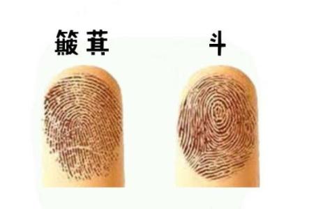 男人手上没斗，运势解析与人生启示