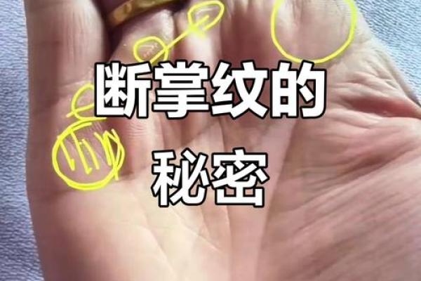 人手长得奇奇怪怪，究竟命运如何？探秘手相背后的秘密！