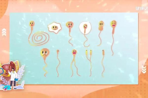 属相与命理:探寻生命中的那条秘密之路 属相与命理:探寻生命中的那条秘密之路