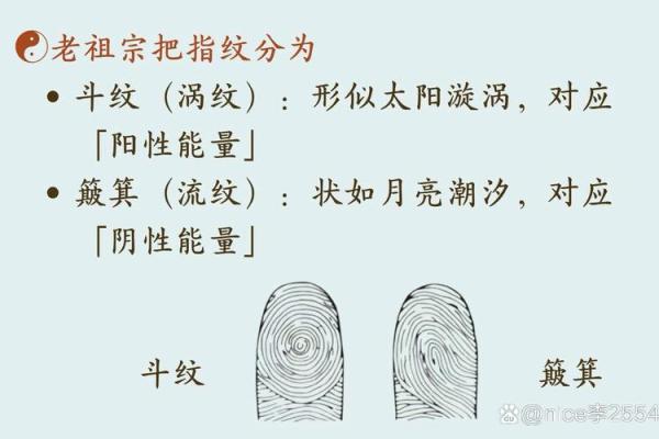 揭示手指无斗簸箕的命理密码:运势与个性解析 揭示手指无斗簸箕的命理密码:运势与个性解析