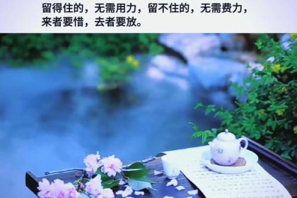 揭示入赘寡宿之命的秘密,探讨命理与人生的智慧 揭示入赘寡宿之命的秘密,探讨命理与人生的智慧