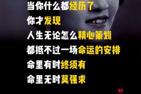 男人匪夫命：探讨男人命运背后的故事与哲理