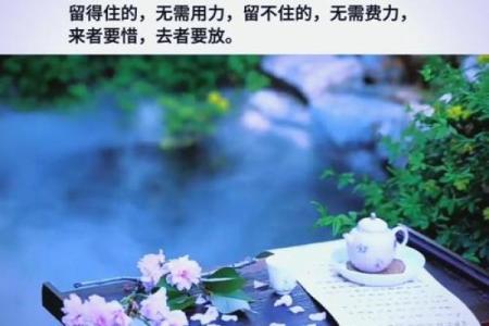 揭示入赘寡宿之命的秘密，探讨命理与人生的智慧