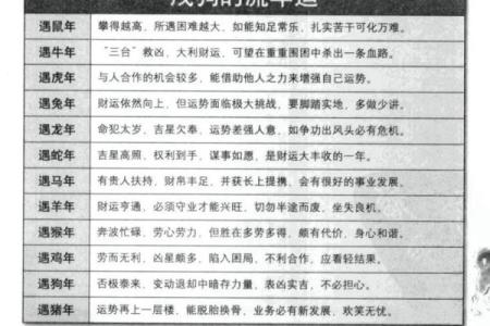 属狗的财神，五行命理与运势分析：如何寻找财富的钥匙