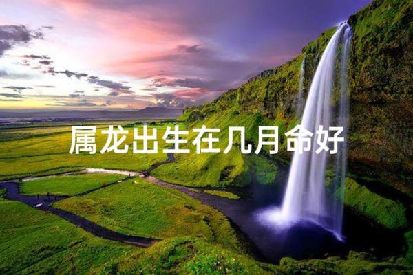 属龙猴林中玩出生的命运解析:勇气与智慧的结合之旅 属龙猴林中玩出生的命运解析:勇气与智慧的结合之旅