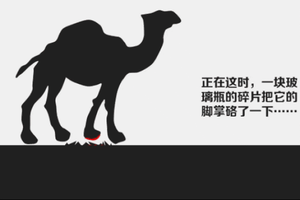 平吉之命：探寻人生和谐之道的智慧与哲理