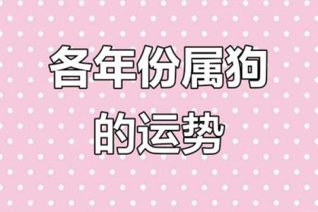 1994年属狗人的命运解析：了解你的命格与未来趋势