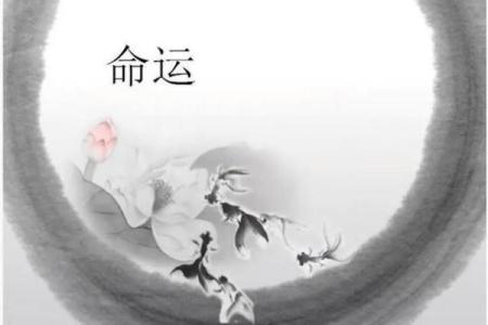 十个簸箕女性的命运：探寻她们独特的生活轨迹与内心世界