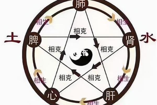 狮子座的元素之谜:金、木、水、火、土如何影响你的命运? 狮子座的元素之谜:金、木、水、火、土如何影响你的命运?