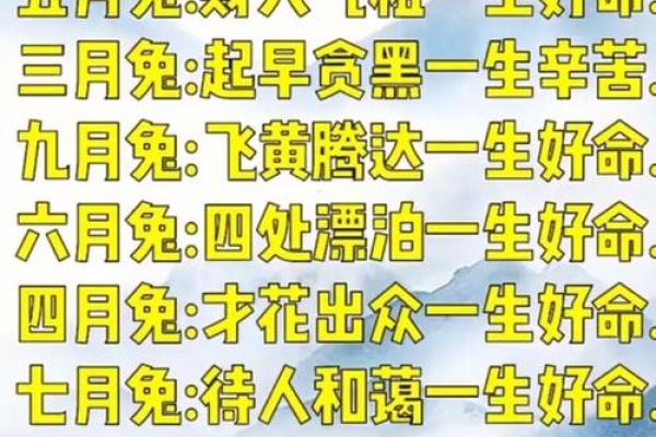 生肖鼠的星君命:运势、性格与人生运程的深度解析 生肖鼠的星君命:运势、性格与人生运程的深度解析