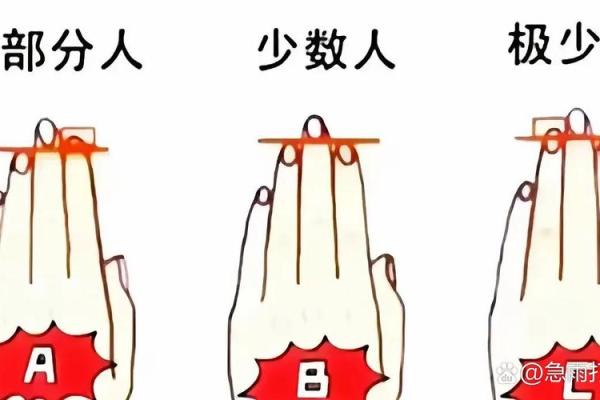 食指较短代表什么命?揭示指长与命运的奥秘 食指较短代表什么命?揭示指长与命运的奥秘