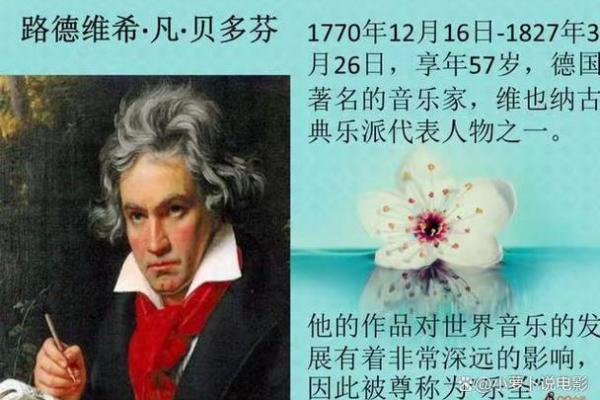 命运的交响曲：揭示人生的多彩篇章与奥秘