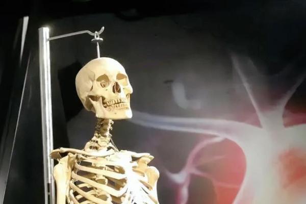 人多长了两块骨头，意味着什么样的命运？探究背后的秘密与影响。