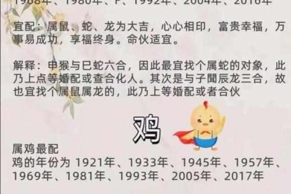 十二生肖与凤凰命:揭开传统生肖背后的神秘面纱 十二生肖与凤凰命:揭开传统生肖背后的神秘面纱