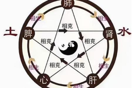 狮子座的元素之谜：金、木、水、火、土如何影响你的命运？