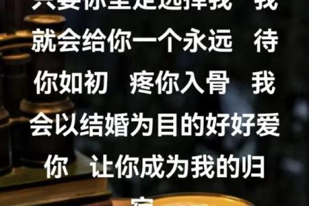 你是我的命：一段关于爱的寓意旅程