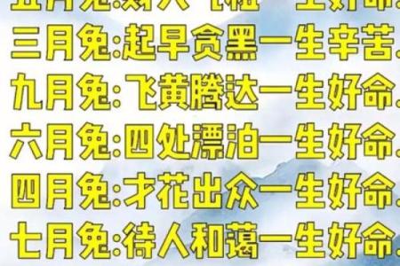 生肖鼠的星君命：运势、性格与人生运程的深度解析