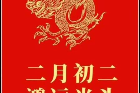 农历今日龙之命：在更高的天空中舞动与探索